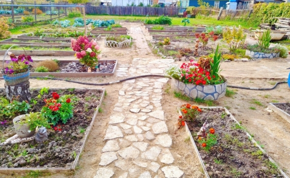 Обрезка до наступления морозов: 5 растений, которые нужно привести в порядок уже сейчас Обрезка до наступления морозов: 5 растений, которые нужно привести в порядок уже сейчас