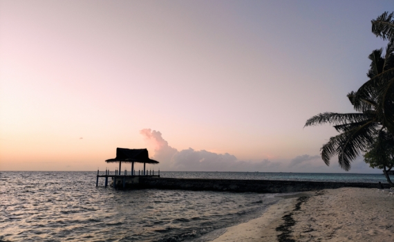 Город без солнца и кислорода: темные глубины Атлантики раскрыты — это может изменить наше будущее Город без солнца и кислорода: темные глубины Атлантики раскрыты — это может изменить наше будущее