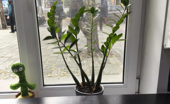 Метод сохранения тепла по-скандинавски: почему северяне не клеят окна и не мерзнут — трюк с огоньком Метод сохранения тепла по-скандинавски: почему северяне не клеят окна и не мерзнут — трюк с огоньком