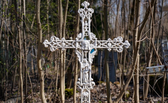 Родительский день 2026: 7 дел, которые обязательно нужно сделать — помимо кладбища Родительский день 2026: 7 дел, которые обязательно нужно сделать — помимо кладбища